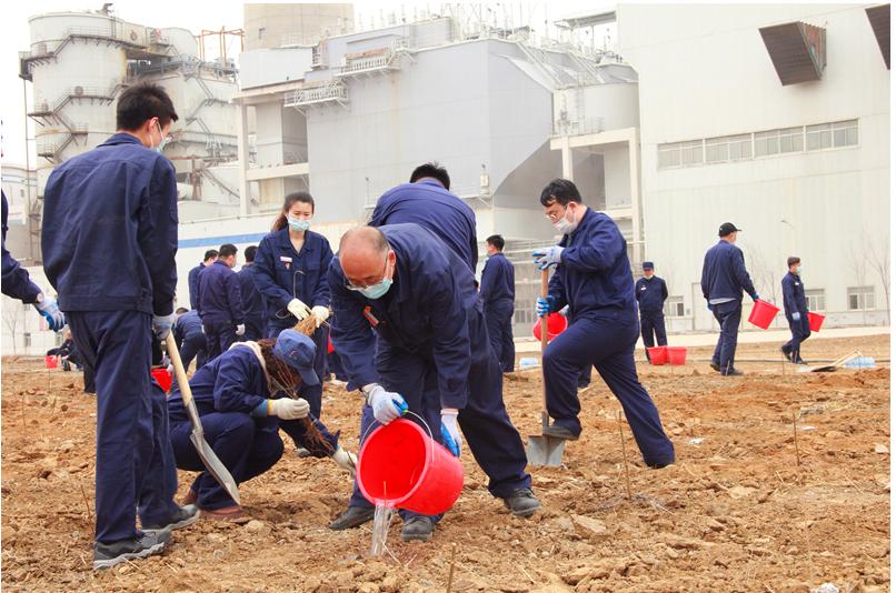 创建文明厂区义务植树